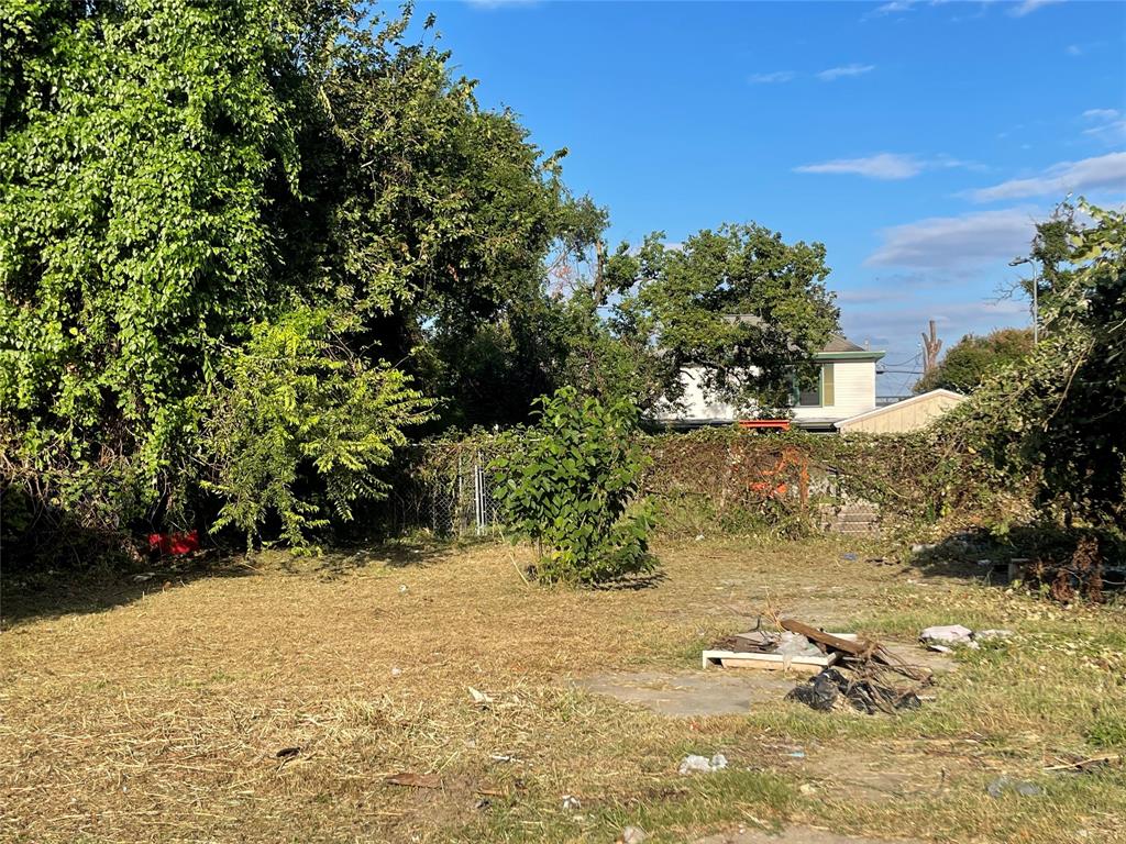 Harvard Street, Houston, Texas image 8
