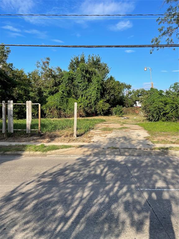 Harvard Street, Houston, Texas image 2