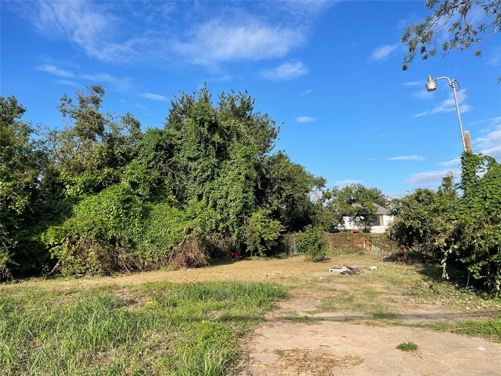 Harvard Street, Houston, Texas image 4