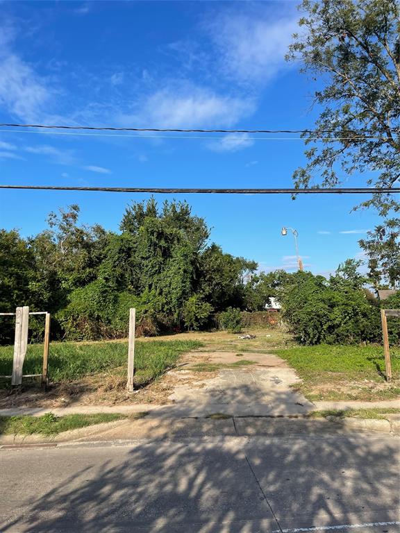 Harvard Street, Houston, Texas image 3