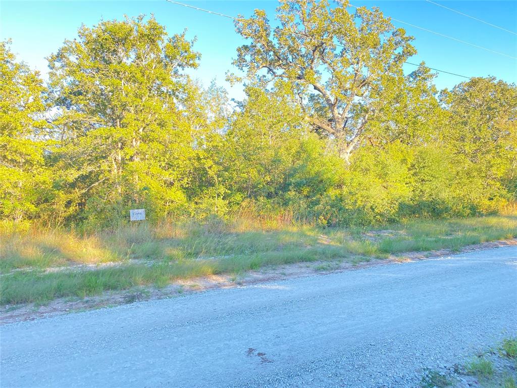 25596 Cemetery Road, Bedias, Texas image 3