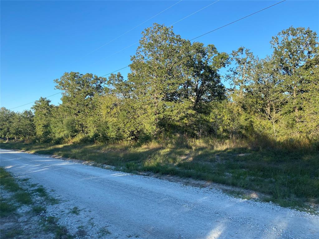 25596 Cemetery Road, Bedias, Texas image 9