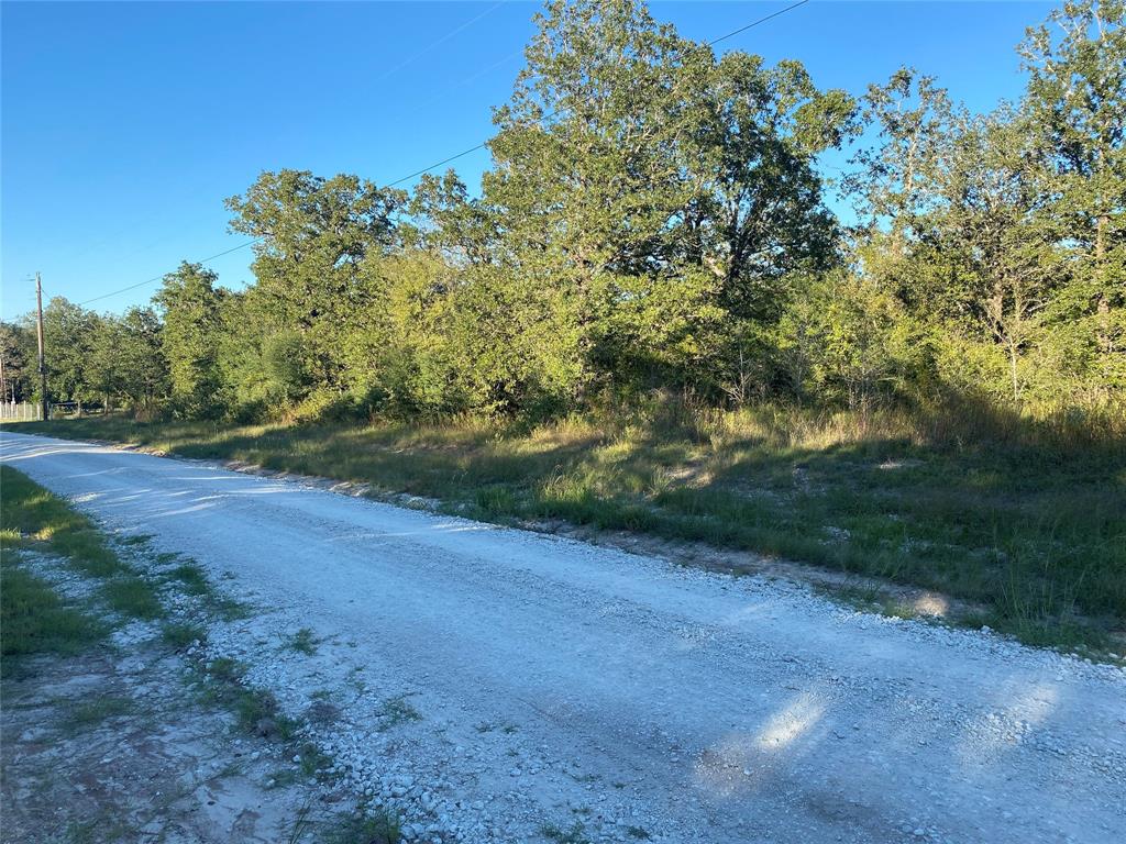 25596 Cemetery Road, Bedias, Texas image 8