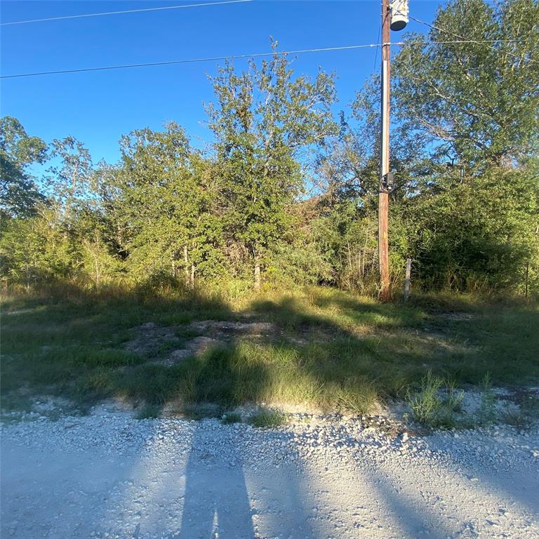 25596 Cemetery Road, Bedias, Texas image 12