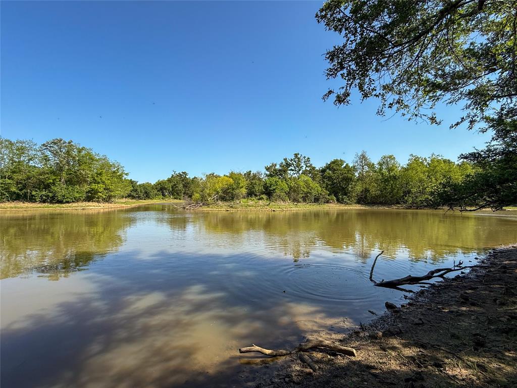 33.8+/- Acres N Hwy 36, Milano, Texas image 6