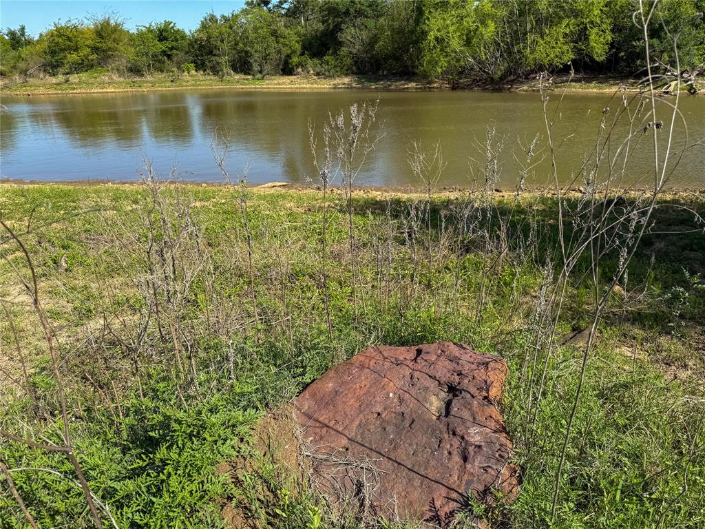 33.8+/- Acres N Hwy 36, Milano, Texas image 3