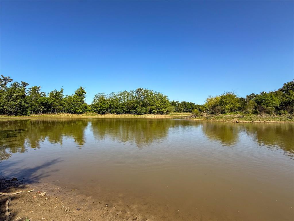33.8+/- Acres N Hwy 36, Milano, Texas image 5