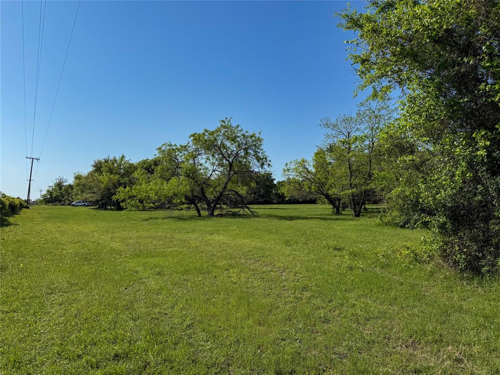 33.8+/- Acres N Hwy 36, Milano, Texas image 2