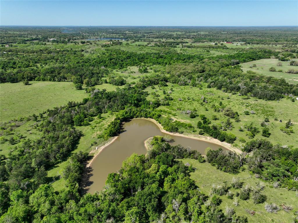 33.8+/- Acres N Hwy 36, Milano, Texas image 15