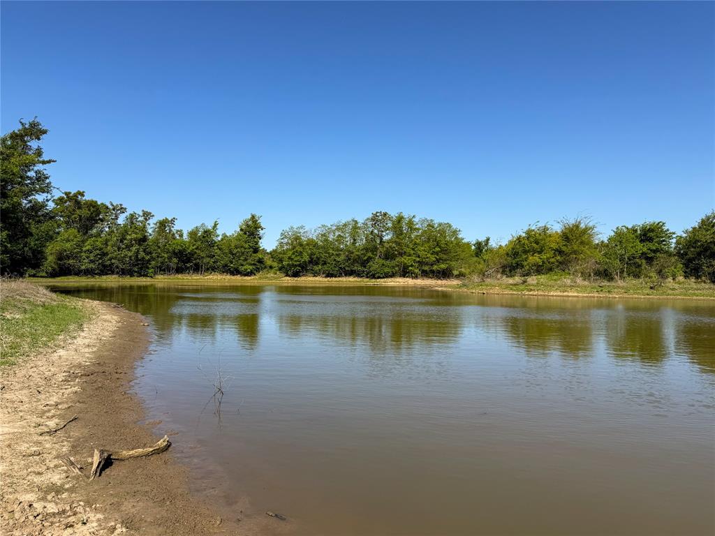 33.8+/- Acres N Hwy 36, Milano, Texas image 4