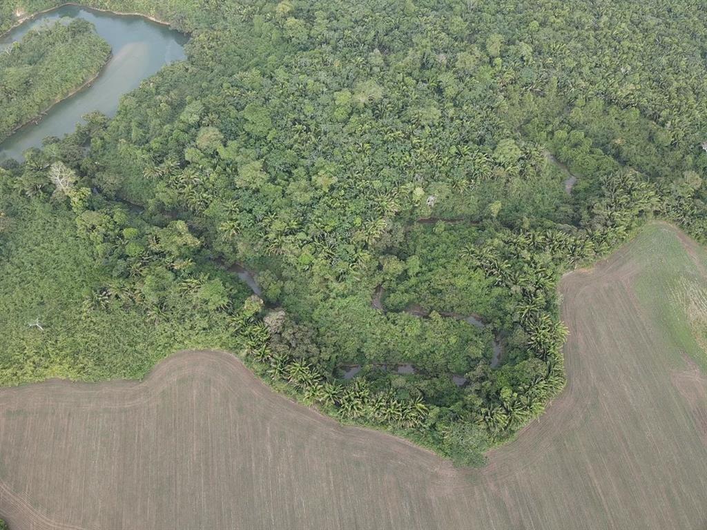 2516 Acres - Beaver Dam - Belize