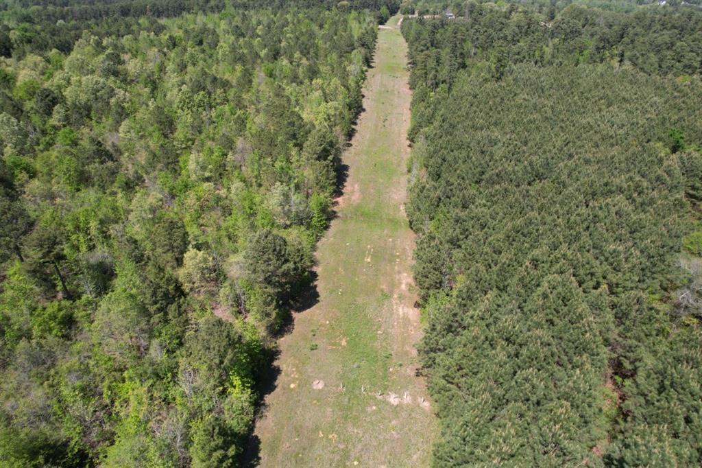 TBD-G Lincoln Springs Rd, Gladewater, Texas image 6