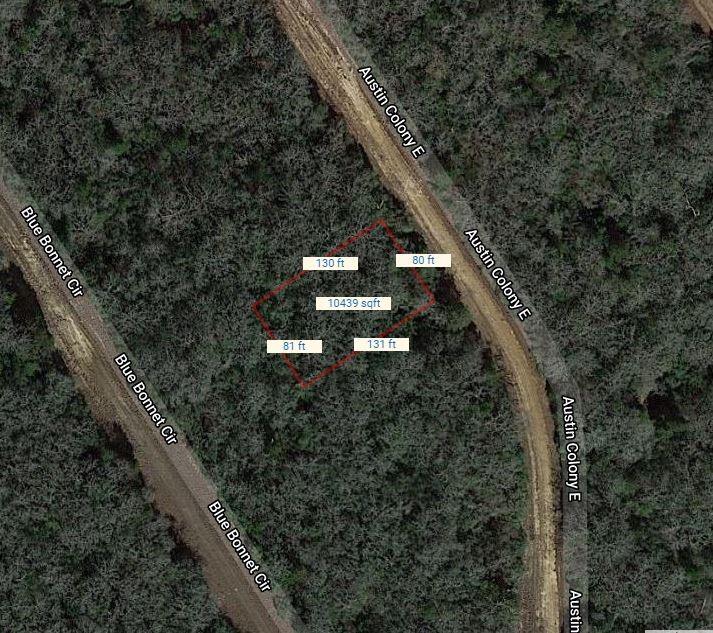 Lot 4 E Austin Colony, Normangee, Texas image 2
