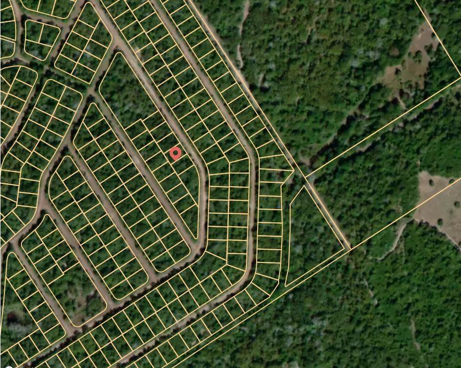Lot 4 E Austin Colony, Normangee, Texas image 3
