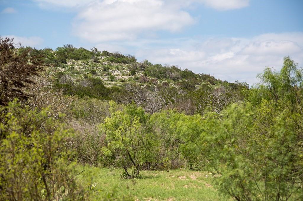 Jdj Ranch, Rocksprings, Texas image 27