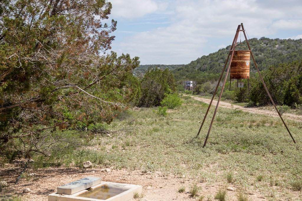 Jdj Ranch, Rocksprings, Texas image 15