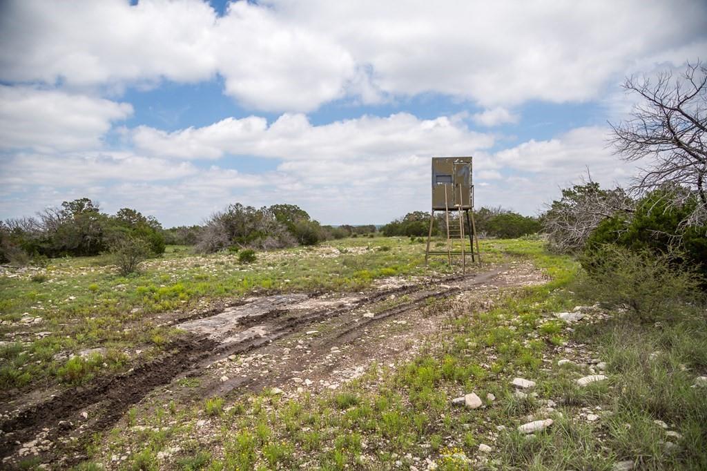 Jdj Ranch, Rocksprings, Texas image 24