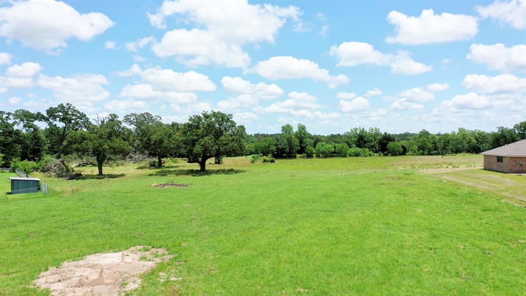 TBD Bullard Street, Madisonville, Texas image 6