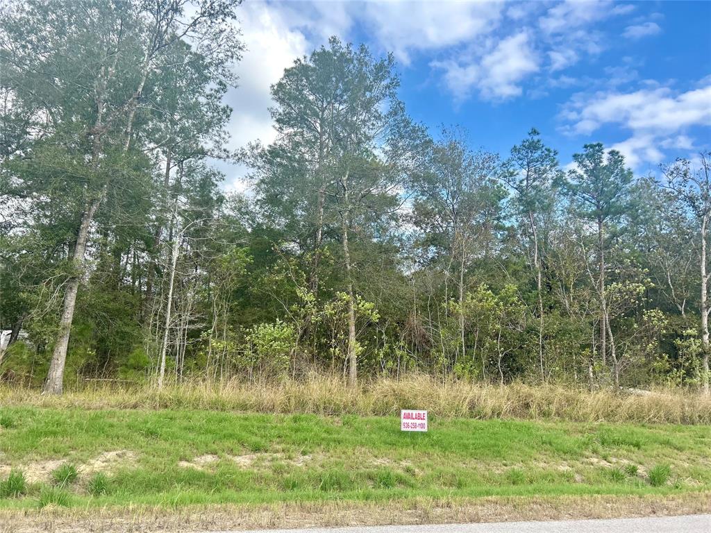 1565 County Road 632, Dayton, Texas image 5
