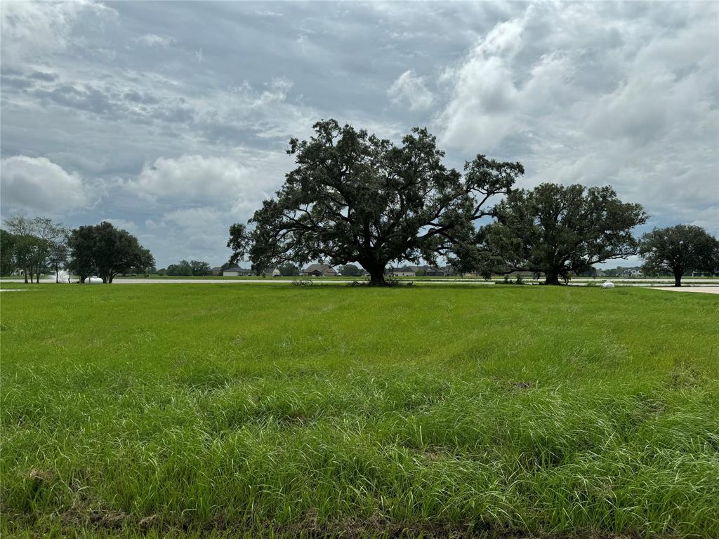 303 Lily Lane, Rosharon, Texas image 11