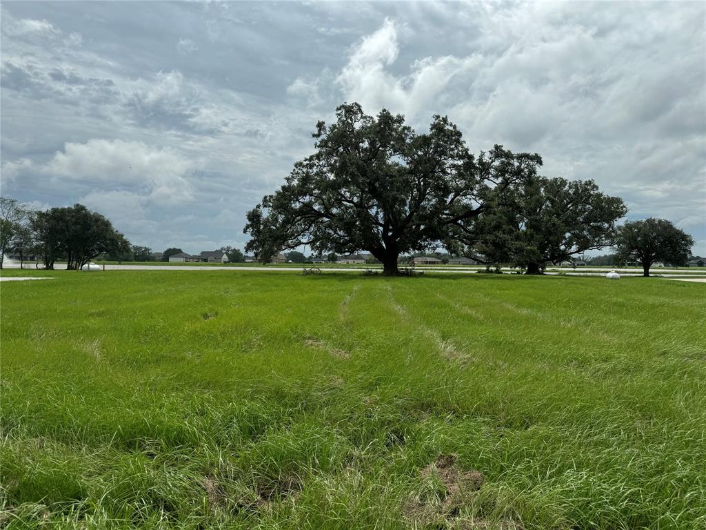 303 Lily Lane, Rosharon, Texas image 2