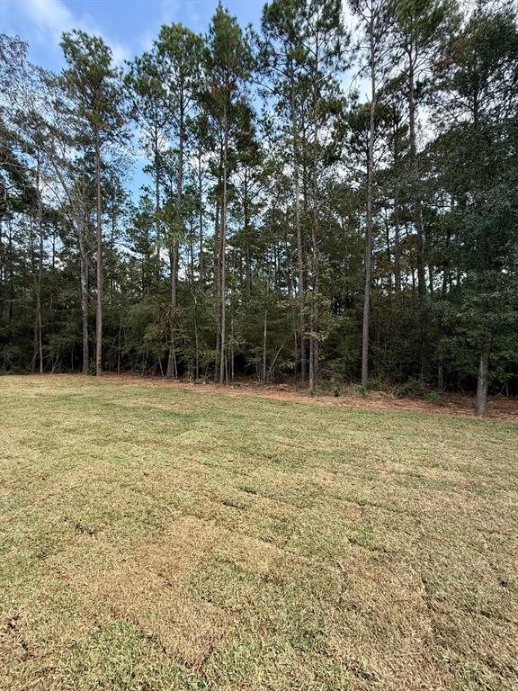 15786 Hickory, Montgomery, Texas image 25