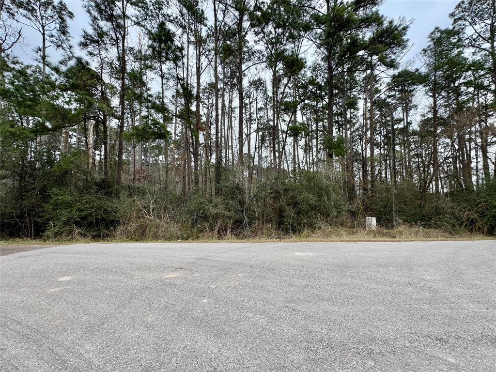 LOT 107 Whisperwood Drive, Onalaska, Texas image 1