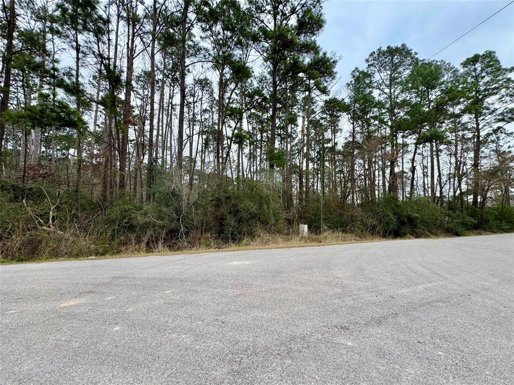 LOT 107 Whisperwood Drive, Onalaska, Texas image 2