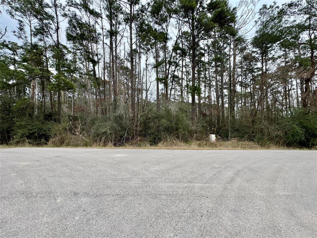 LOT 107 Whisperwood Drive, Onalaska, Texas image 3