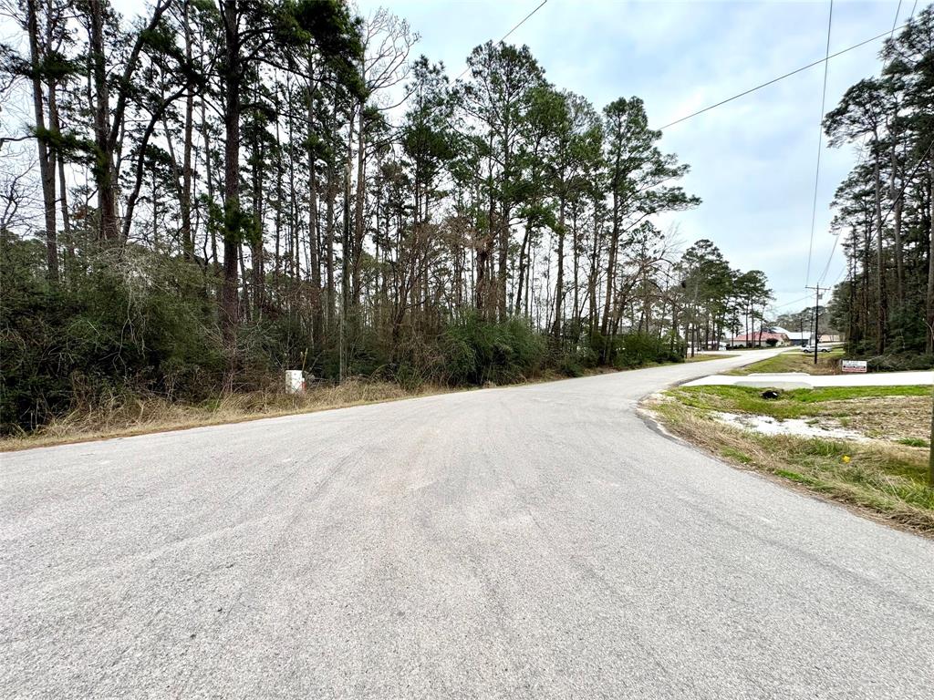 LOT 107 Whisperwood Drive, Onalaska, Texas image 4