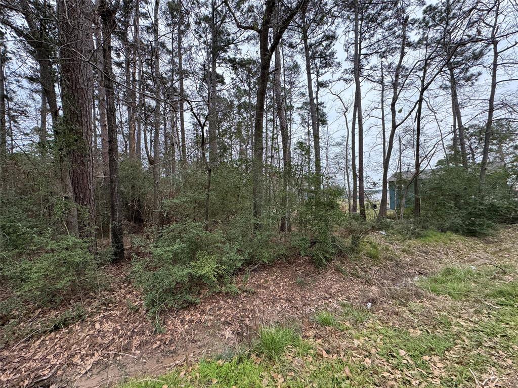 LOT 107 Whisperwood Drive, Onalaska, Texas image 6