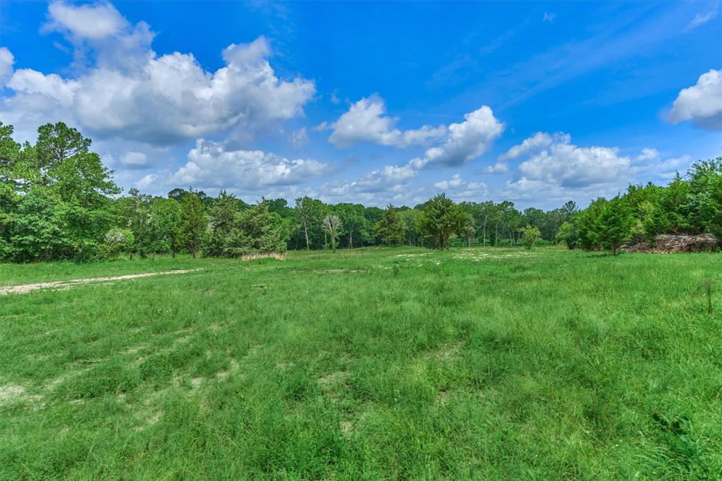 Tract D Sharp View Road, Montgomery, Texas image 6