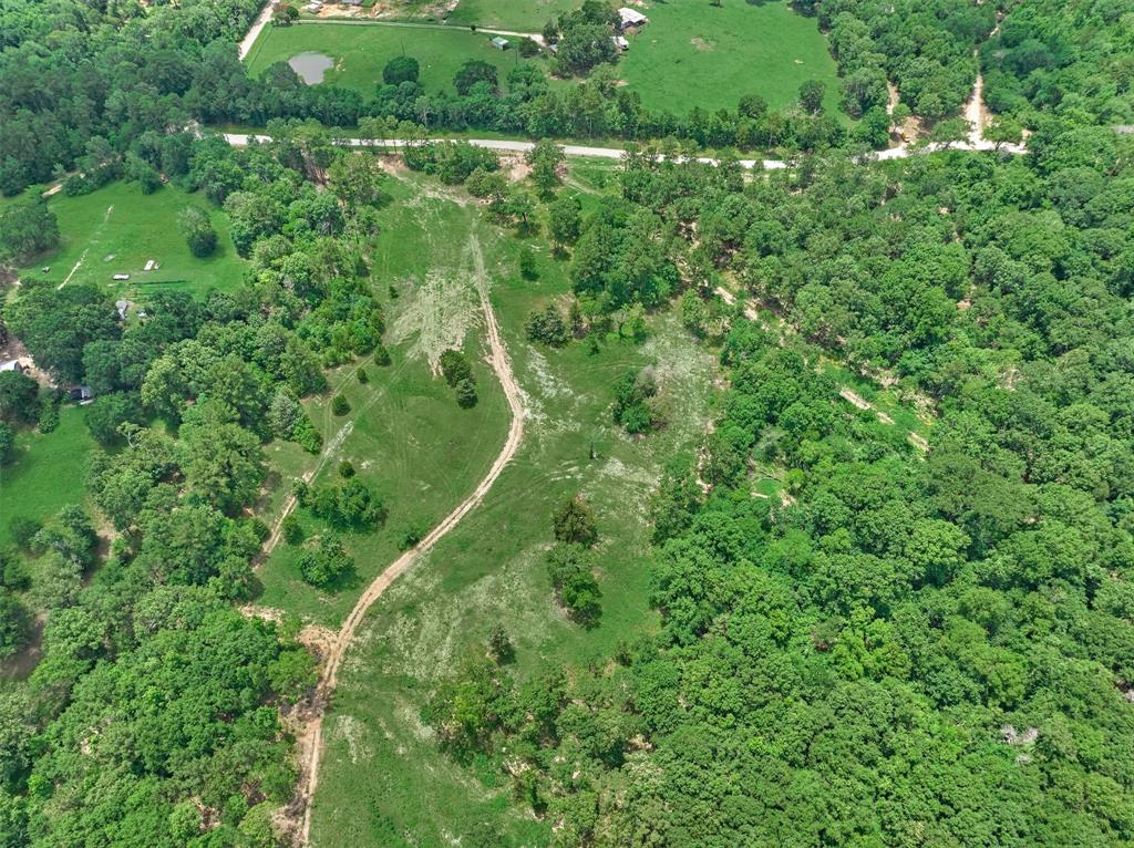 Tract D Sharp View Road, Montgomery, Texas image 12