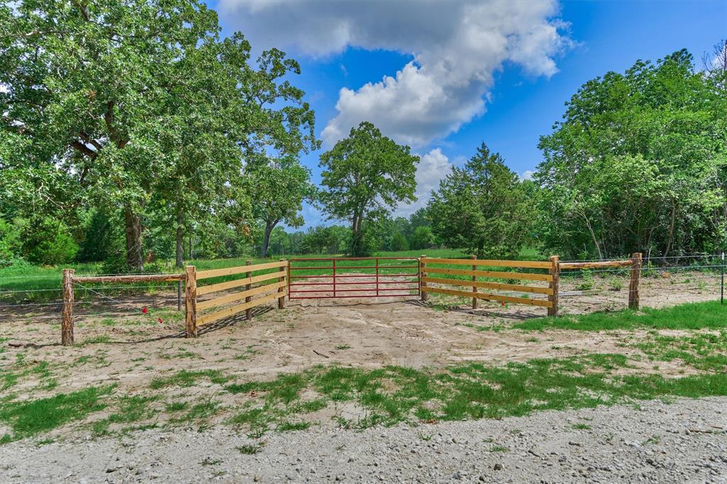 Tract D Sharp View Road, Montgomery, Texas image 4