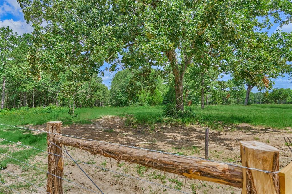 Tract D Sharp View Road, Montgomery, Texas image 5