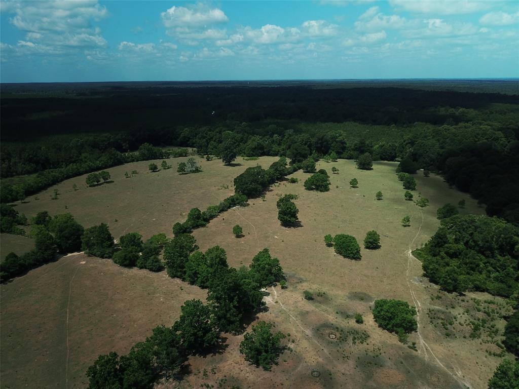 1400 County Road 4120, Woodville, Texas image 13