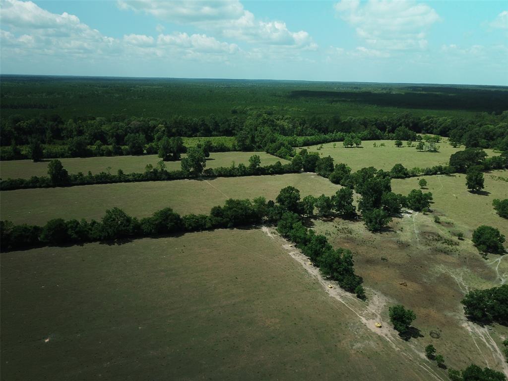 1400 County Road 4120, Woodville, Texas image 10