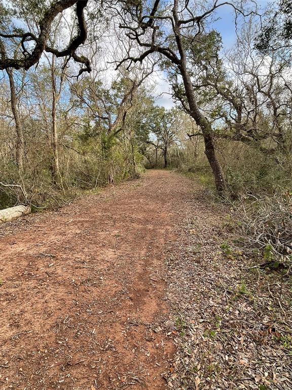 281 Tr 6 Ramblewood Road, Sargent, Texas image 1