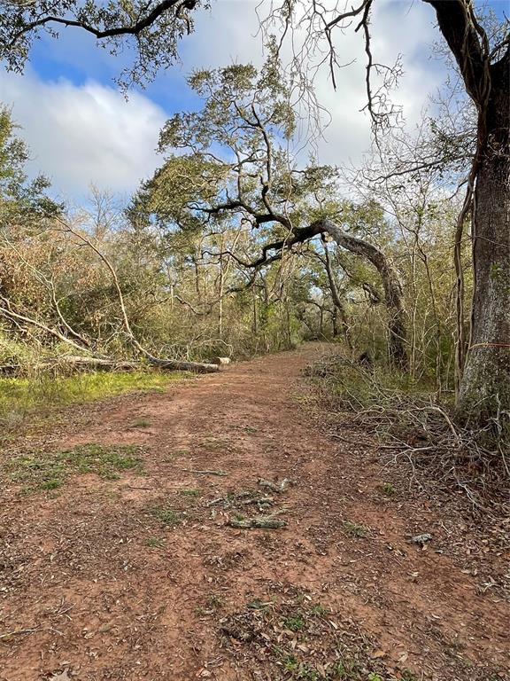 281 Tr 6 Ramblewood Road, Sargent, Texas image 4