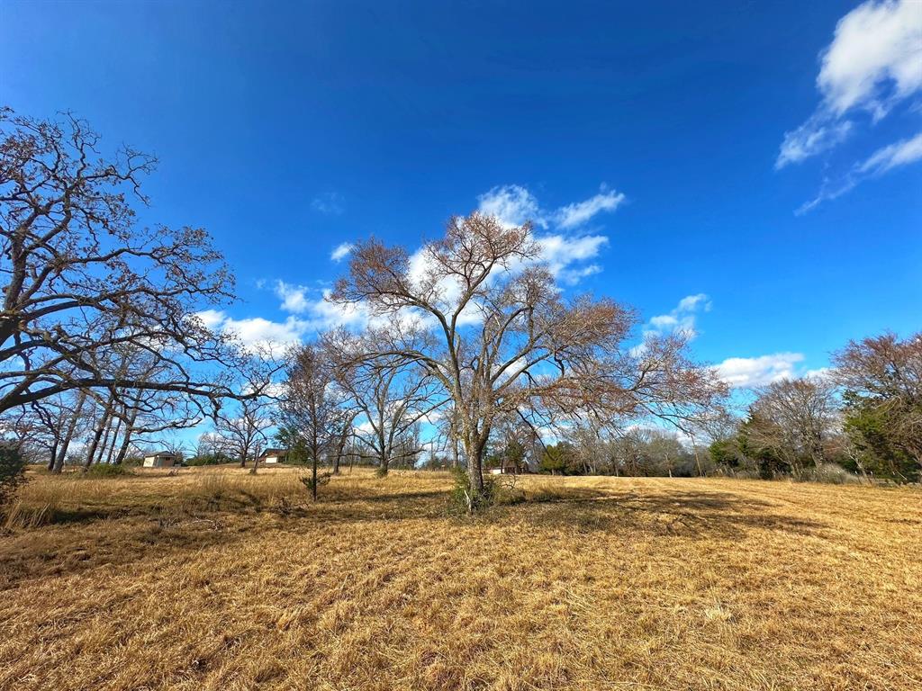 12 Ac Highway 75 South, Centerville, Texas image 2