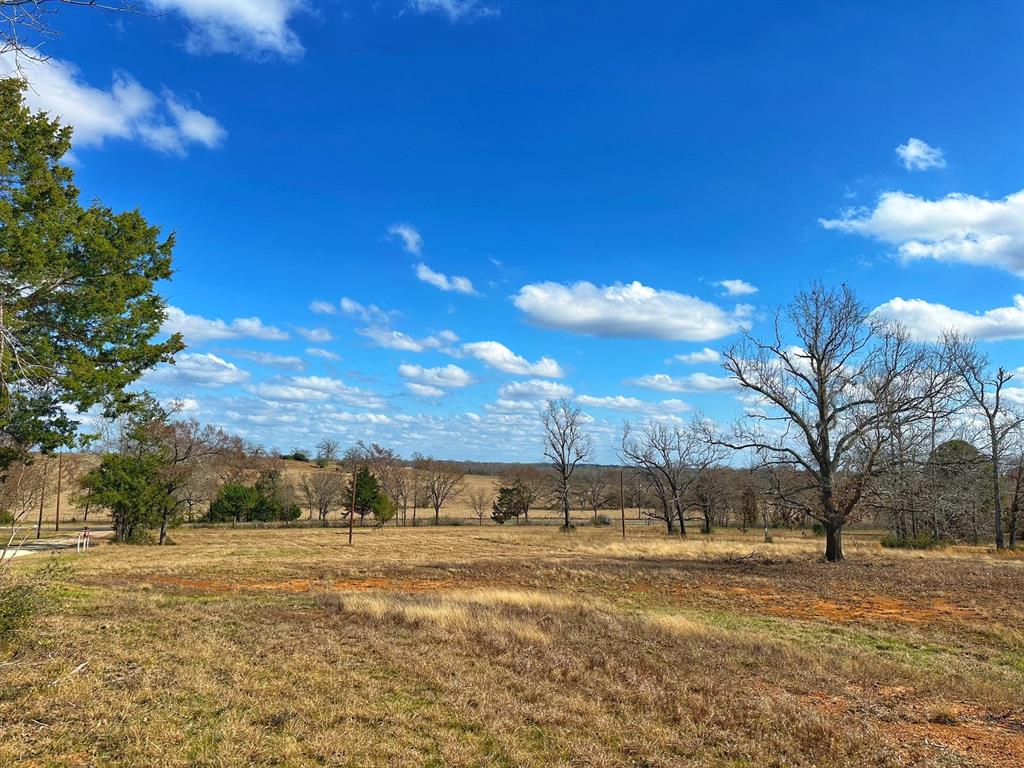 12 Ac Highway 75 South, Centerville, Texas image 3