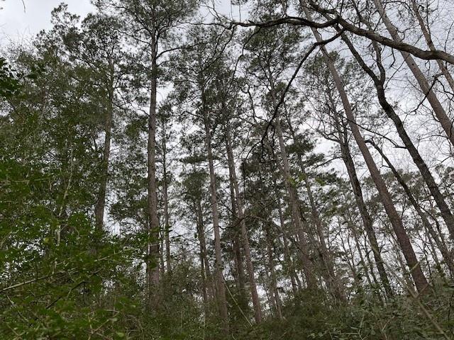 9709 Cargill Street, Houston, Texas image 10