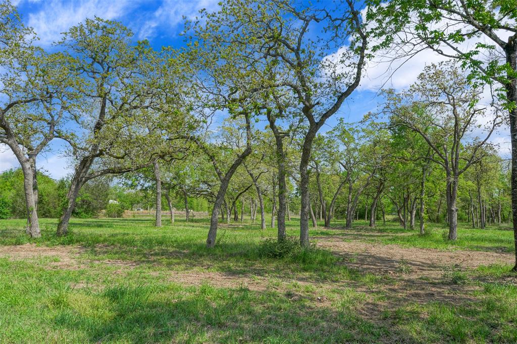 17618 Fm 3090, Anderson, Texas image 10