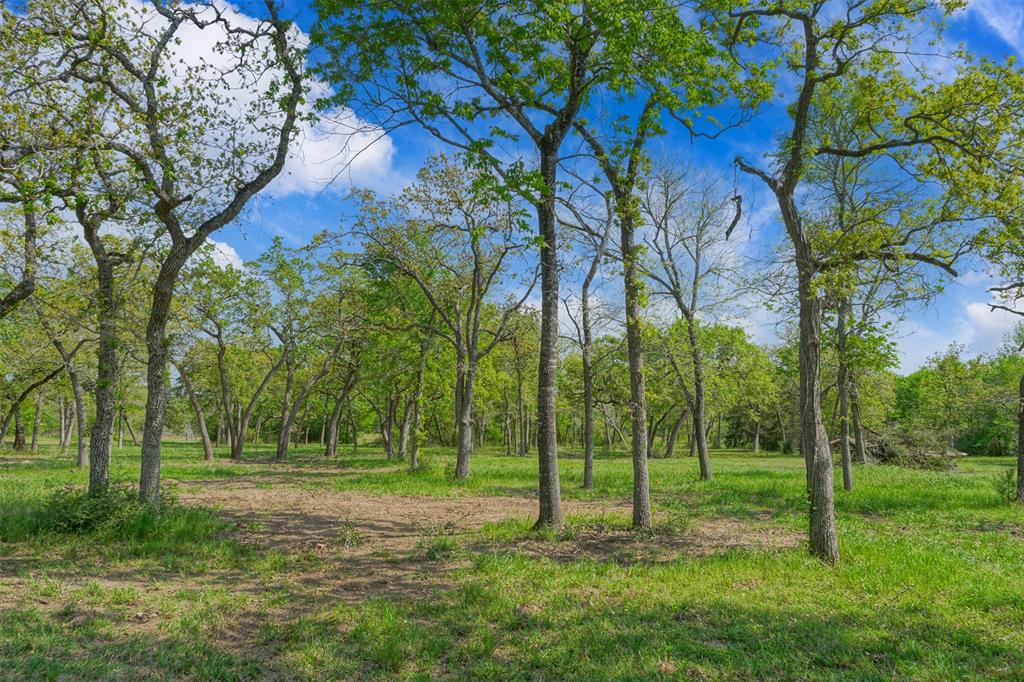 17618 Fm 3090, Anderson, Texas image 12
