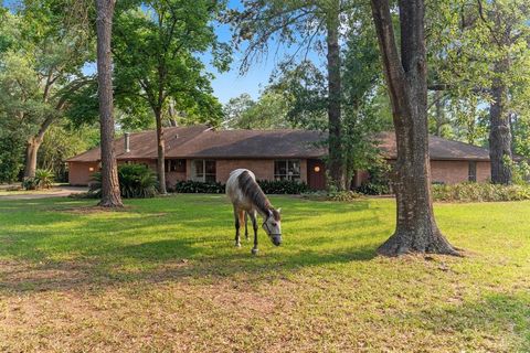 9809 Neuens Road Houston TX 77080