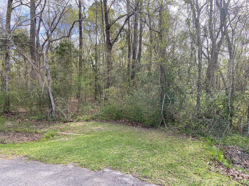 TBD County Road 4012, Dayton, Texas image 8