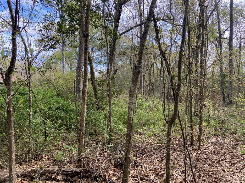 TBD County Road 4012, Dayton, Texas image 7