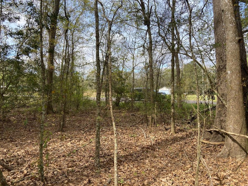 TBD County Road 4012, Dayton, Texas image 5