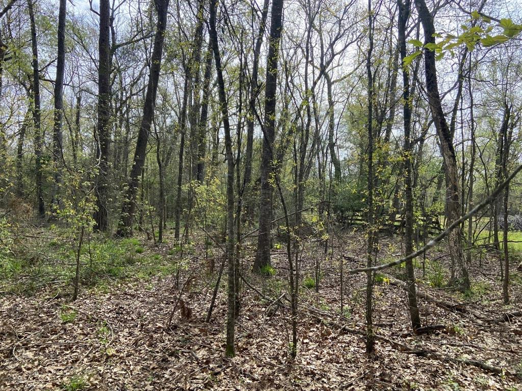 TBD County Road 4012, Dayton, Texas image 6