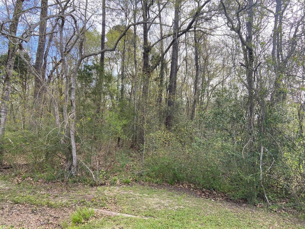 TBD County Road 4012, Dayton, Texas image 1